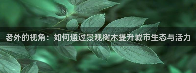 新宝gg网赚