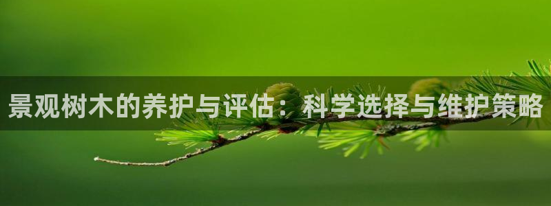 新宝gg开户