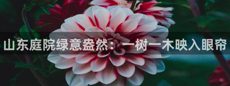 新宝gg — 创造!