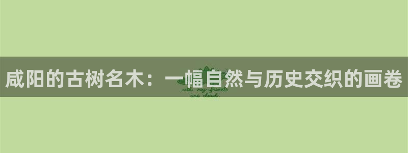 新宝gg返点模式