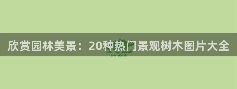 新宝gg登录