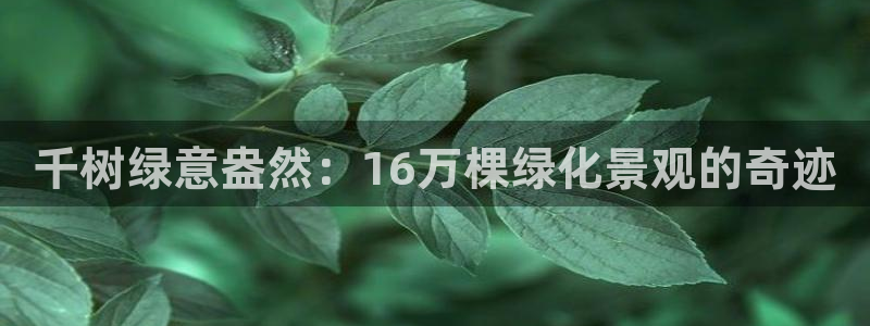 新宝 gg 总代理