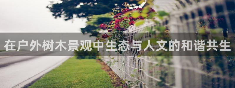 新宝gg计划