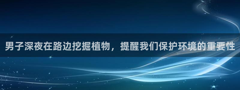 新宝gg登录页面