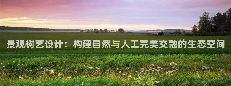 新宝gg图片