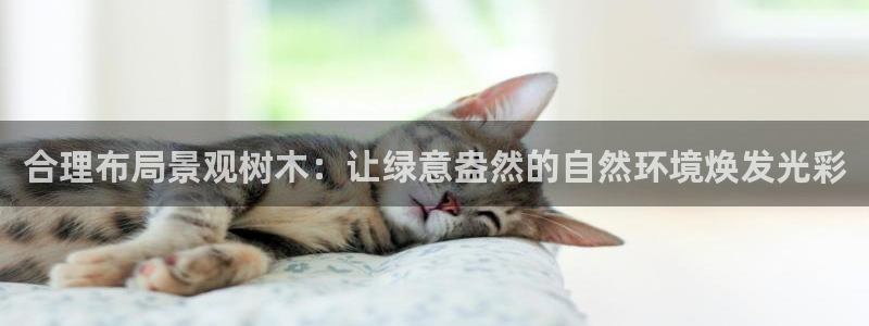 新宝gg返点1956是多少