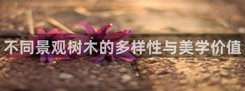 下载新宝gg怎么下载