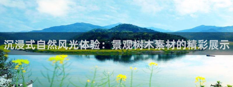 新宝gg欢迎