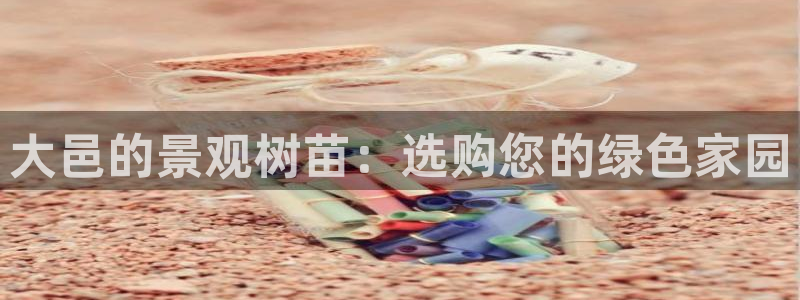 新宝gg 开户