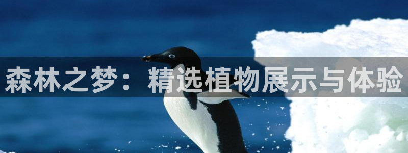 新宝亚洲GG