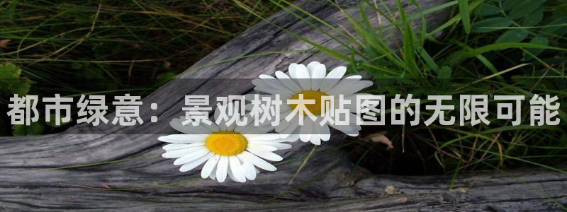 新宝gg登陆新