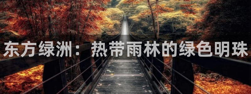 新宝GG之家