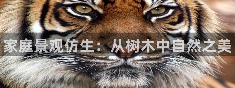 新宝gg博彩