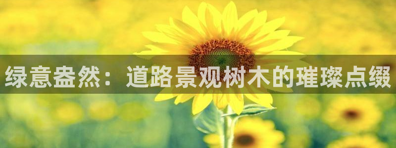 新宝奇迹GG5