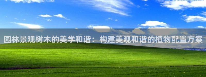 网站新宝GG
