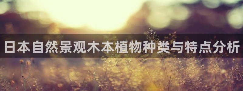 新宝gg   创造奇迹