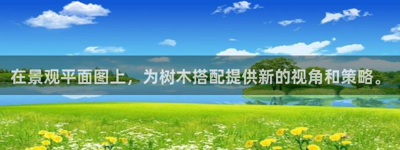 新宝gg盈亏