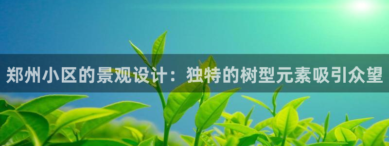 新宝gg 彩票