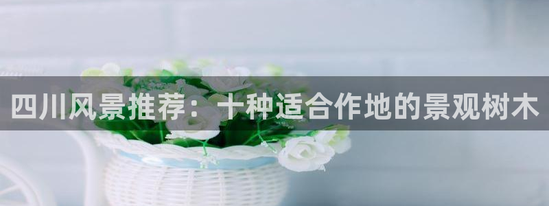新宝娱gg