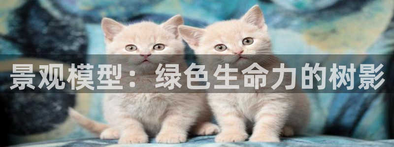 新宝gg吧