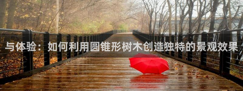 新宝GG绿色