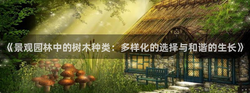 新宝平台gg