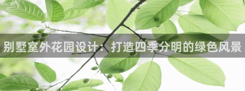 新宝gg代理条件