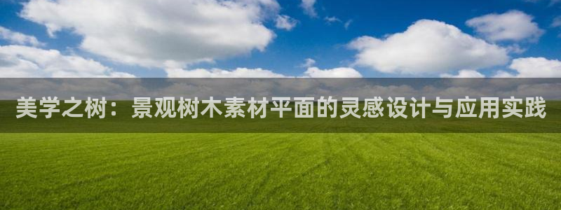 新宝gg如何