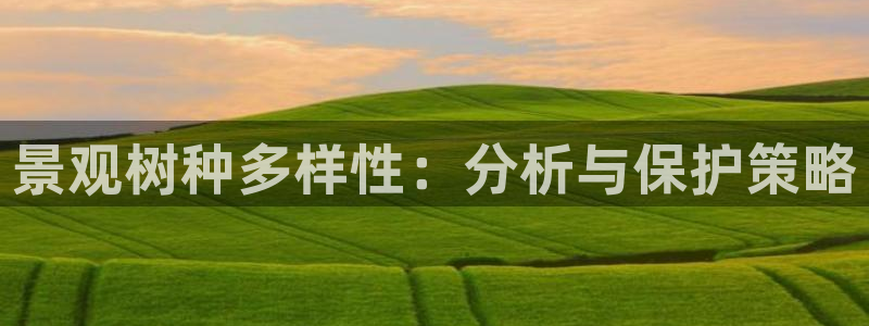 新宝.gg