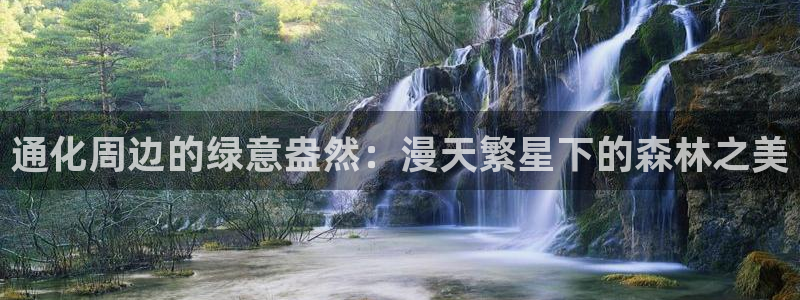 新宝gg博客