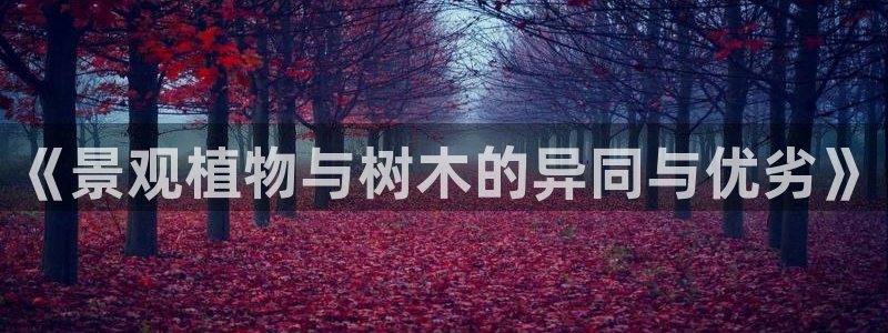 新宝GG管理