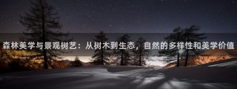 新宝gg合作