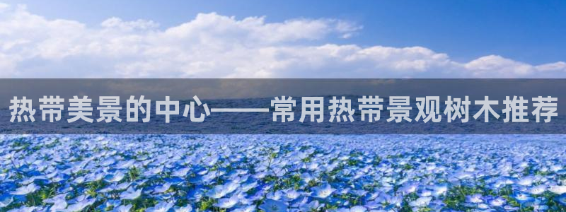 新宝gg官方