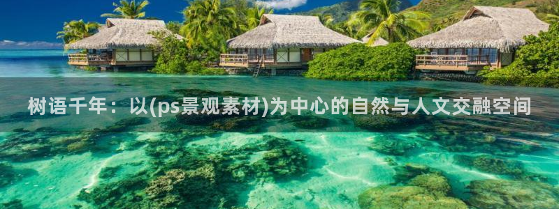 新宝gg刷流水