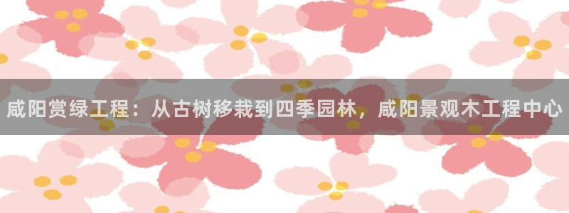 新宝gg官网
