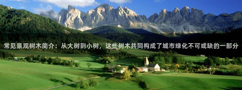 新宝gg主管_