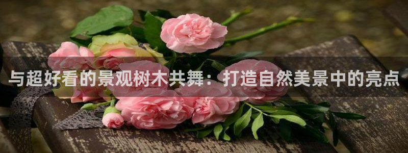 手机新宝gg：与超好看的景观树木共舞：打造自然美景中的亮点