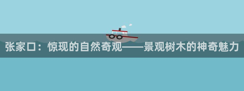 新宝gg娱乐