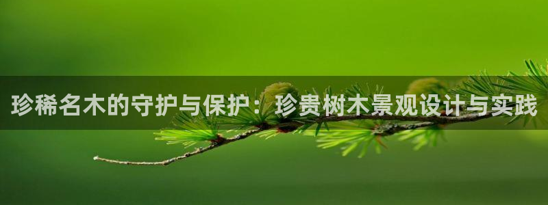 新宝gg登陆新