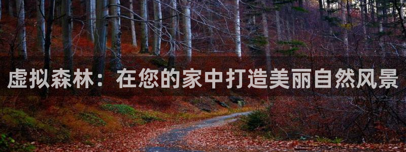 新宝gg为什么没人管