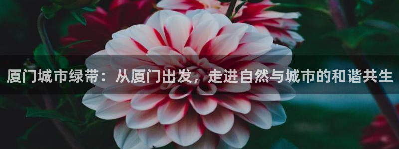 新宝哈哈gg