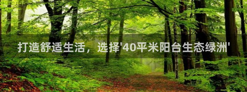 新宝gg挚243553：打造舒适生活，选择\'40平米阳台生态绿洲\'