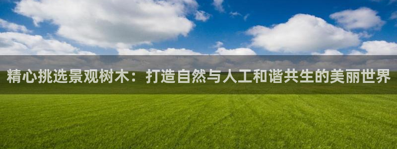 新宝GG无法充值：精心挑选景观树木：打造自然与人工和谐共生的美丽世界