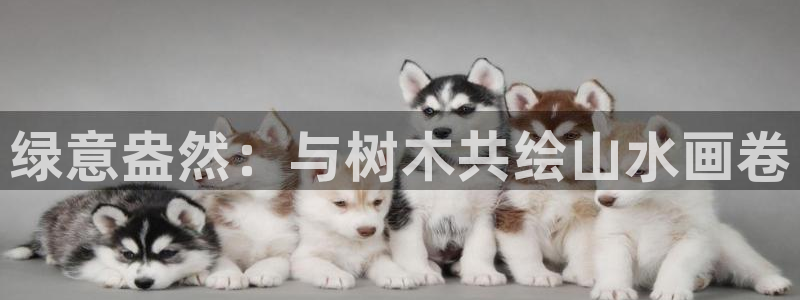 新宝gg创造奇迹登陆：绿意盎然：与树木共绘山水画卷