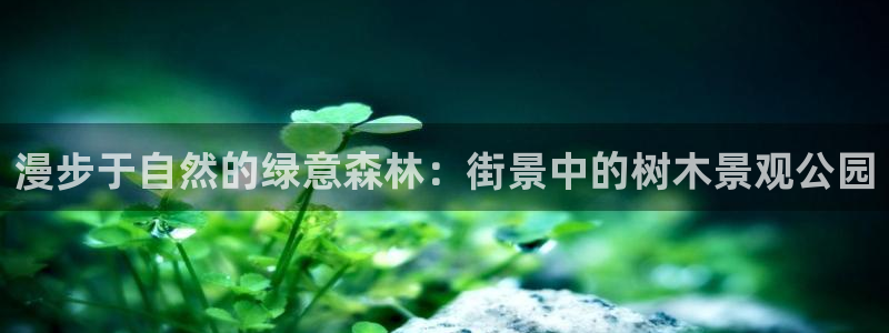 新宝gg如何赚钱