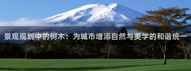新宝GG亚洲：景观规划中的树木：为城市增添自然与美学的和谐统一