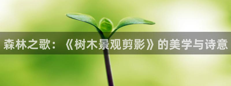 新宝GG之家：森林之歌：《树木景观剪影》的美学与诗意