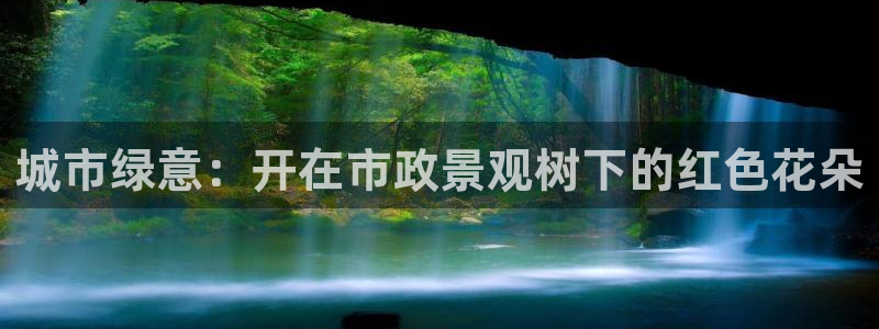 菲律宾新宝gg娱乐：城市绿意：开在市政景观树下的红色花朵