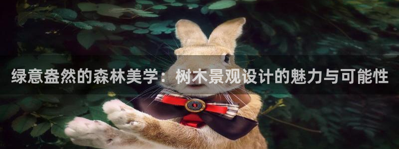 新宝gg官方