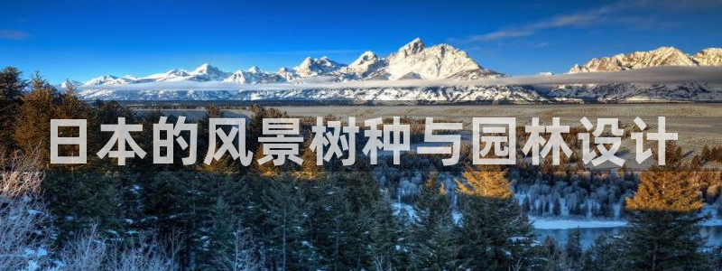 怎么下载新宝gg
